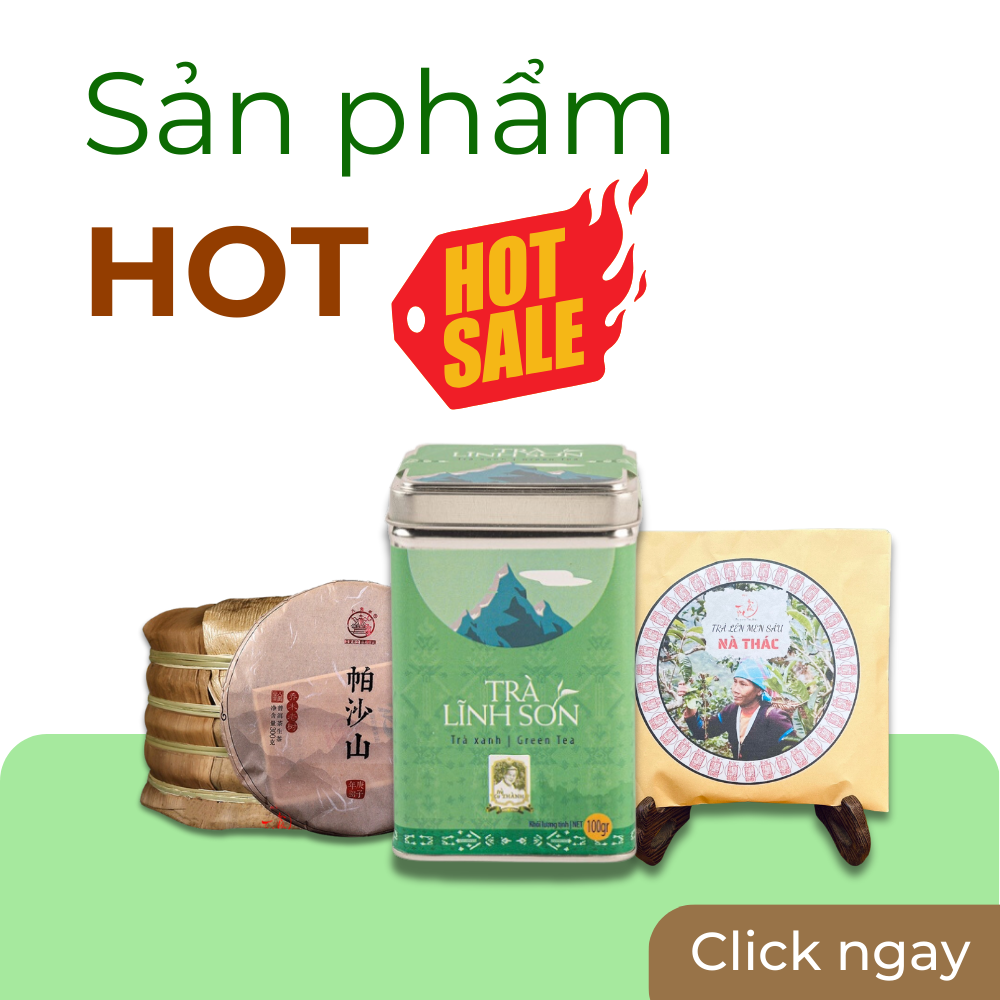 Sản phẩm hot